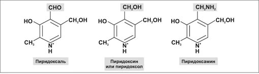 Химическое строение витамина в6. Витамин b6 формула. Витамин b6 строение. Витамин в6 структурная формула. Химия б 6