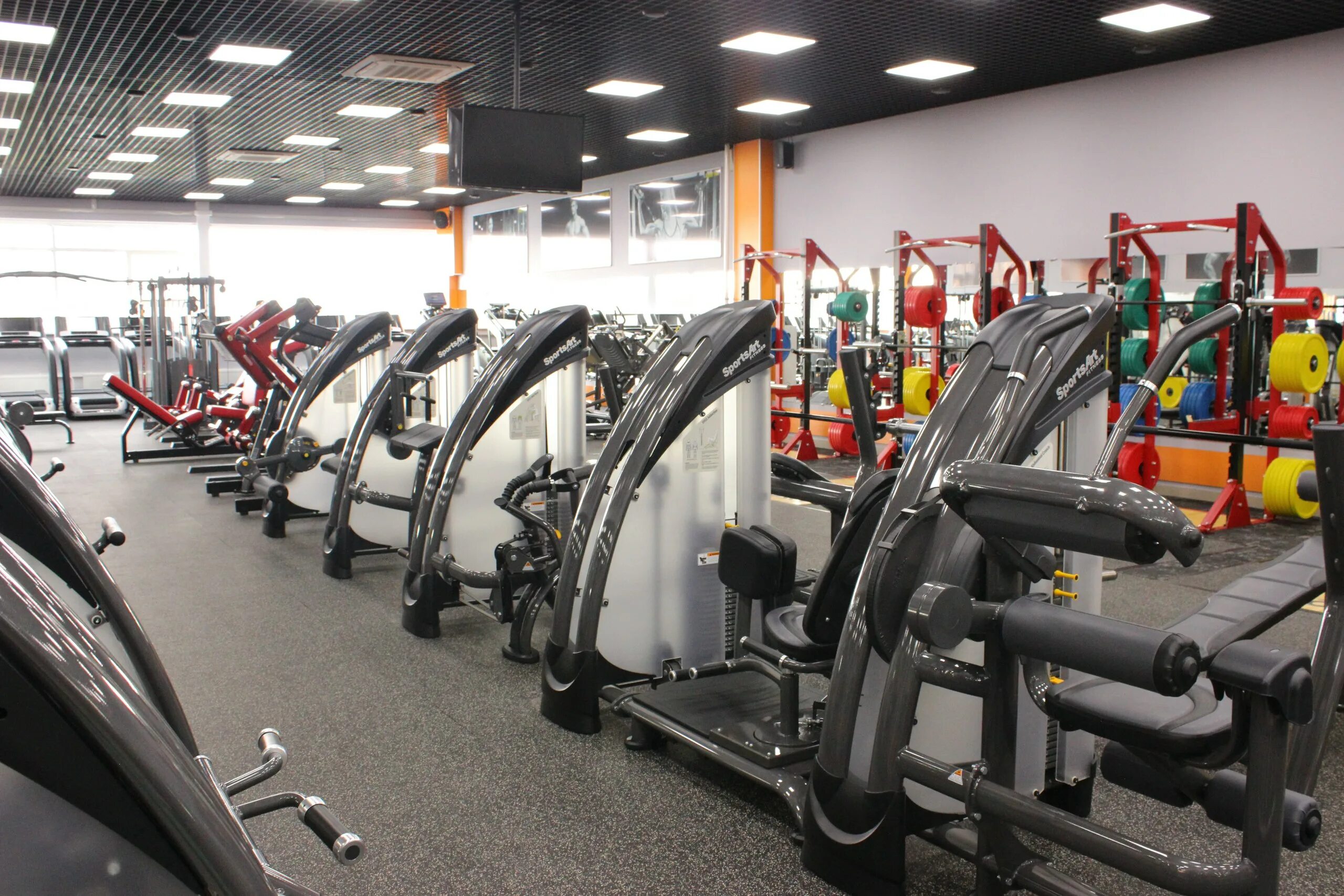 спортзал колизей красноярск. тренажерный зал колизей красноярск говорова 57. колизей тренажерный зал щорса красноярск. колизей тренажерный зал щорса красноярск. колизей тренажерный зал красноярск.