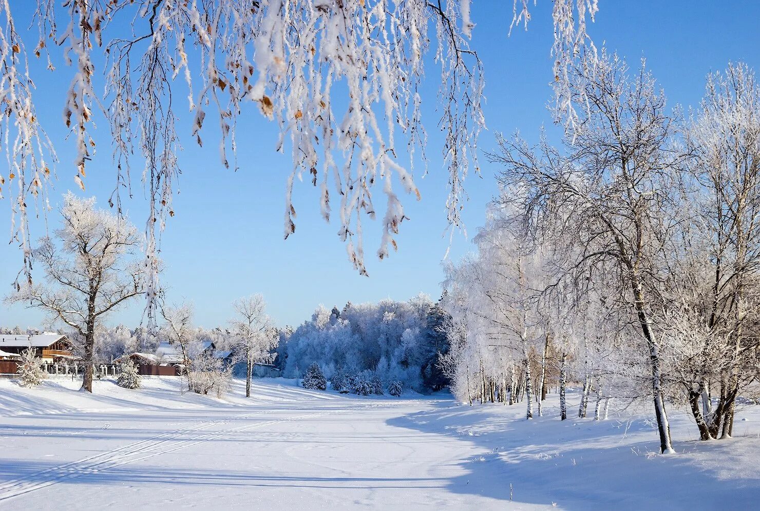 Зимний пейзаж. Зимняя природа. Зимушка зима. Красивая зима. Разгар зимы