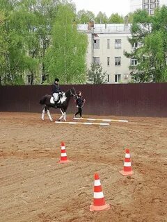 Фаворит подольск каток