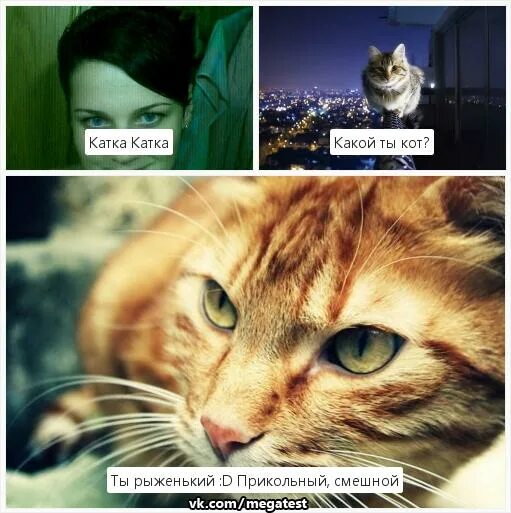 Мегатест