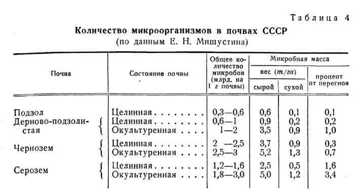 Количество бактерий в почве