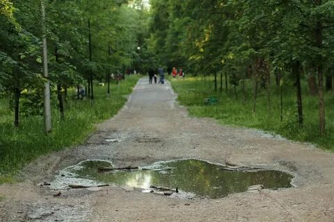 Парк крыла