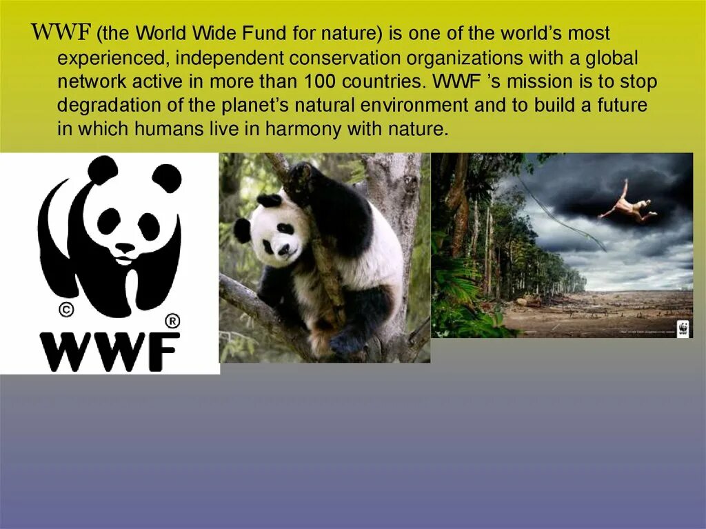 The world wildlife fund is an organization. Всемирный фонд дикой природы WWF. WWF презентация. Эмблема WWF Всемирного фонда дикой природы. Презентация по английскому языку Всемирный фонд дикой природы.