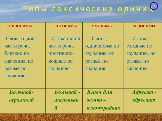 Синоним слова таблица. Синонимы антонимы омонимы паронимы 5 класс. Синонимы антонимы анлнимы. Синонимы омонимы антонимы паронимы таблица. Антонимы антонимы синонимы омонимы паронимы.