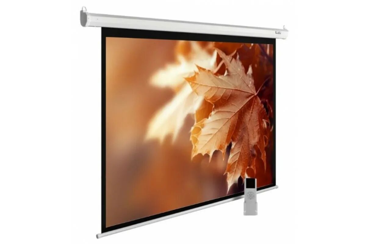 Экран cactus motoexpert cs psme. Экран Cactus MOTOEXPERT CS-PSME-300x188-WT, 300х188 см 16 10 настенно-потолочный белый. Экран Cactus MOTOEXPERT CS-PSME-280x175-WT белый. Экран Cactus MOTOEXPERT. Экран для проектора Cactus Expert.