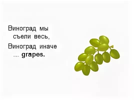 "русский язык. Саперави северный сорт винограда. Русский язык. Русский язык виноград. Грамматическое учение о слове" (1947 г.