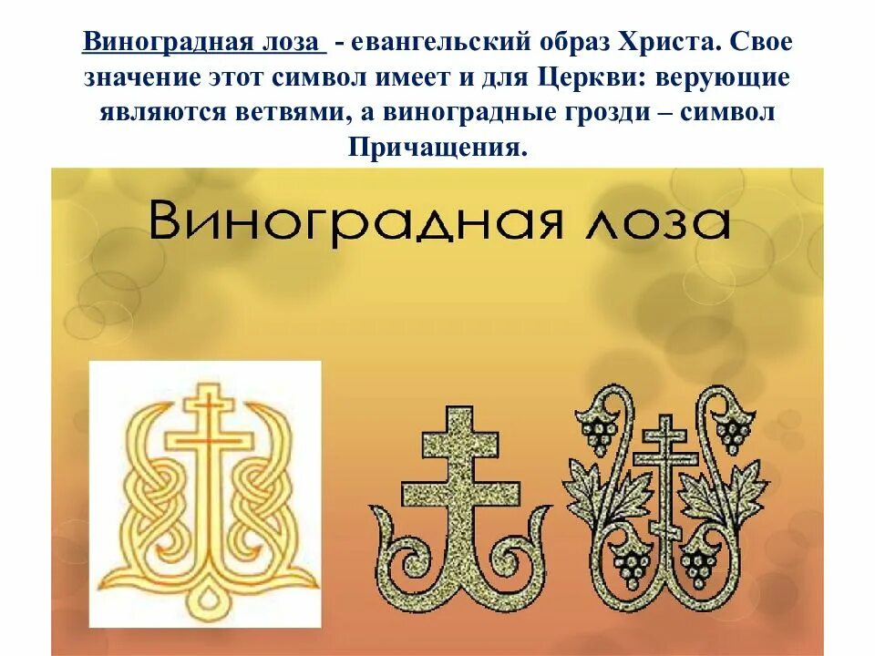 Символ одного из церковный праздников. Виноградная лоза в христианстве. христианские символы. символы православия. символ веры христианства.
