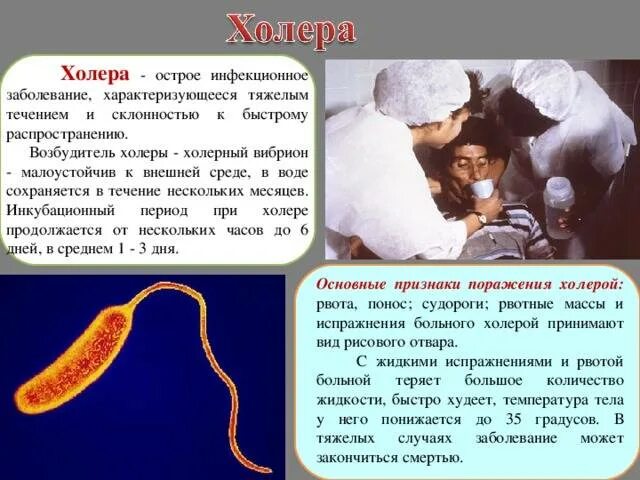 Холерный вибрион проявления болезни. Холерный вибрион пути заражения. Палочка холеры симптомы. Холера бактериальное заболевание.