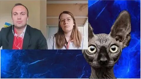 Кот костян последнее ютуб