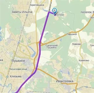 60 автобус пушкино заветы