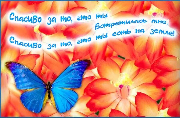 Спасибо что ты есть добра тебе. Открытка за то что ты есть. открытка спасибо что ты есть. открытки спасибо за то что ты есть у меня. спасибо что ты есть подруга.