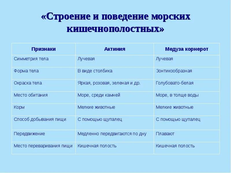 Особенности группы кишечнополостные. Тип кишечнополостных строение таблица. Таблица по биологии 7 класс Тип Кишечнополостные. Тип простейшие Тип Кишечнополостные таблица. Таблица по биологии 7 Кишечнополостные Тип класс представители.