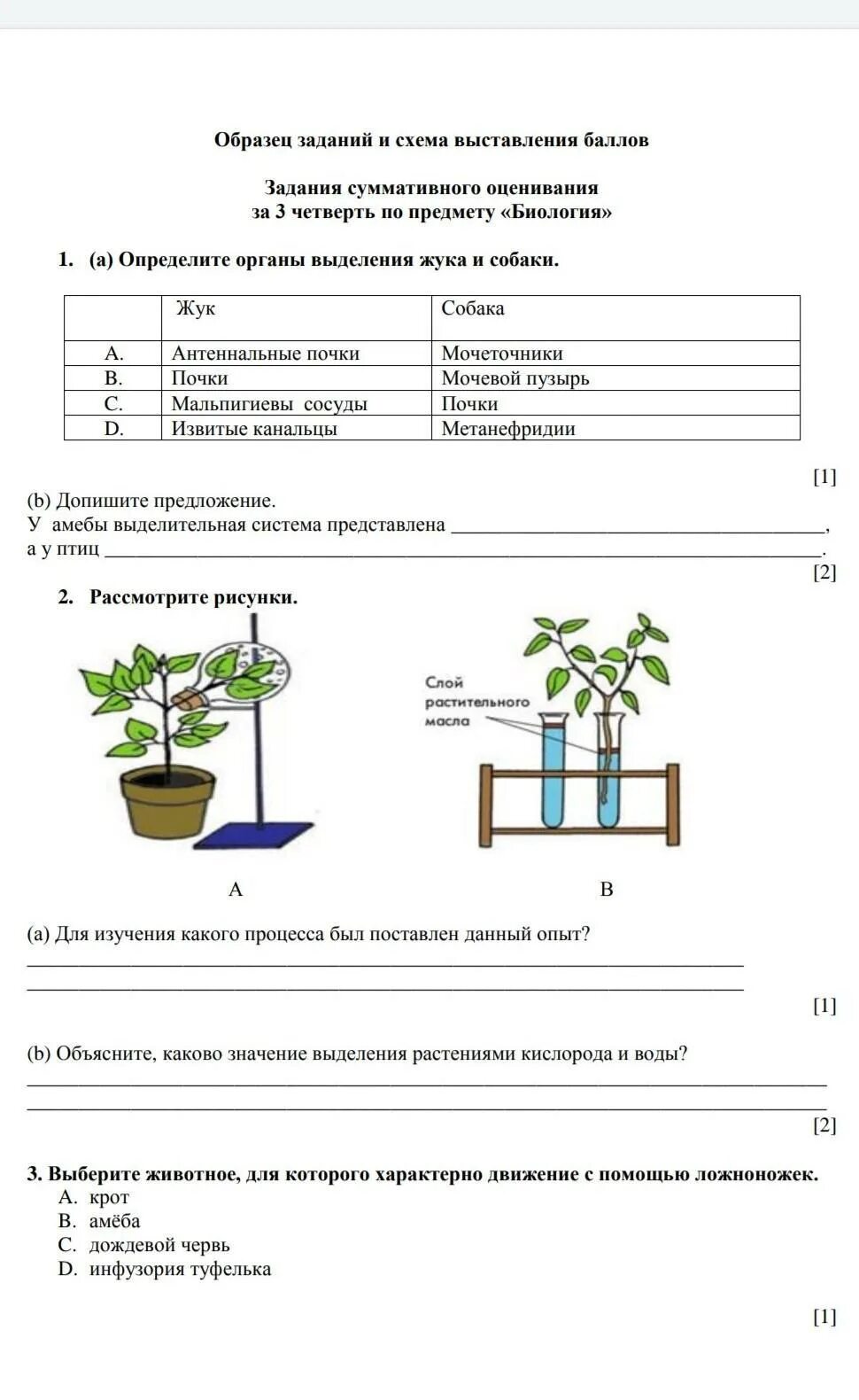 Соч по биологии 7 класс 1 четверть. Сор 2 по биологии 7 класс 3 четверть. Сор по биологии за 3 четверть 9 класс. Биология 7 класс сор 3 четверть. Соч по биологии 7 класс