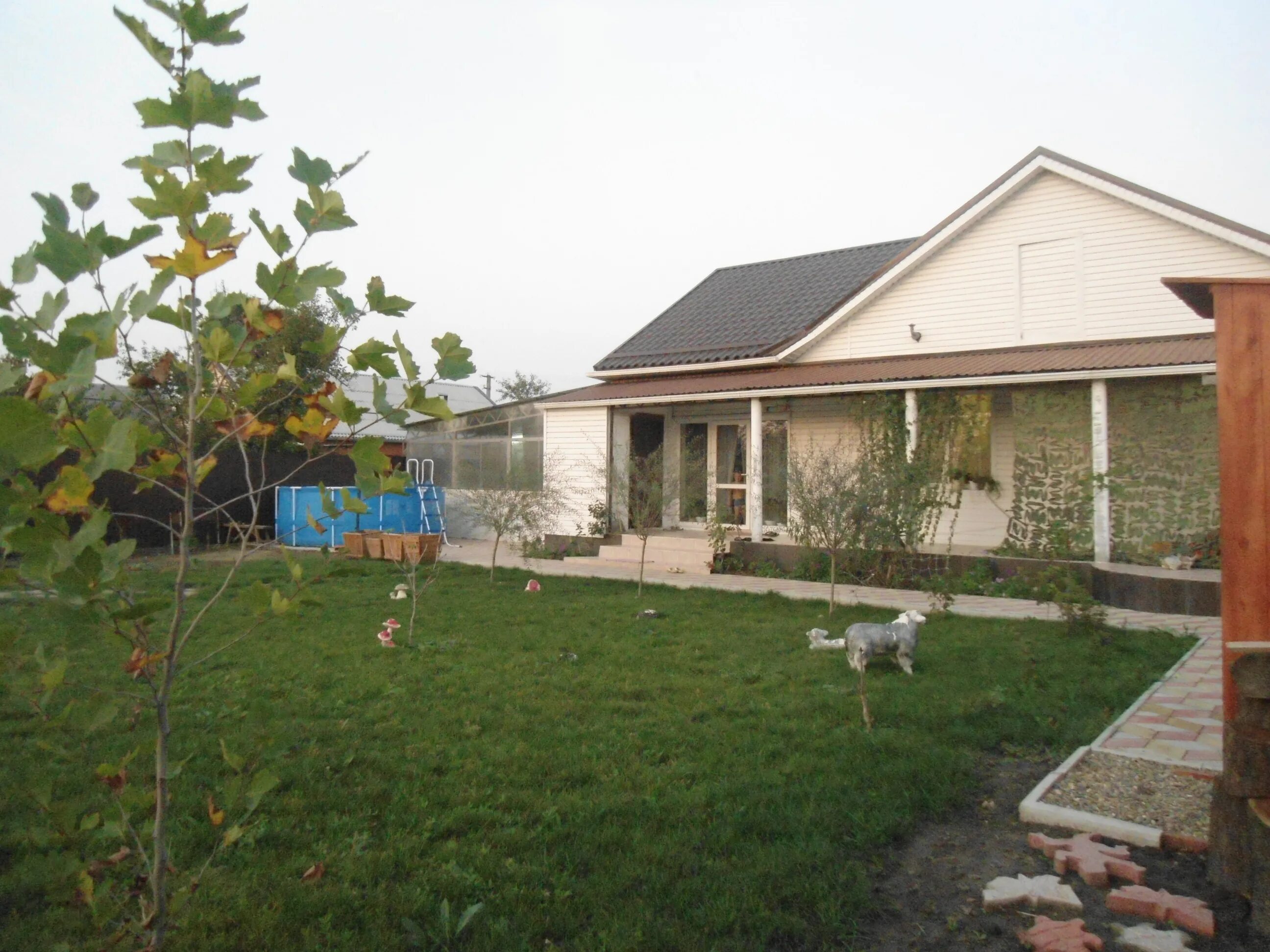 полтавская, ул. дом ст полтавская. маленький домик в станице. дом в ст. дом ст полтавская.