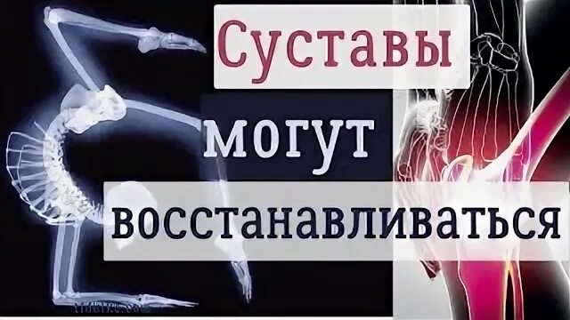 Смогу восстановиться