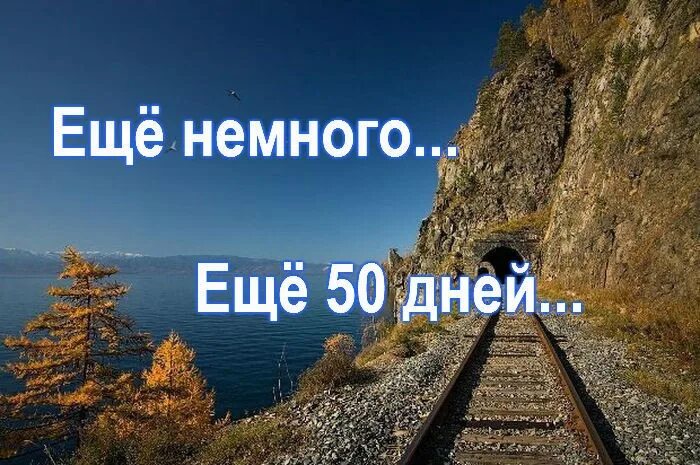 Дмб сколько дней осталось. 50 Дней до ДМБ. Осталось 50 дней до дембеля. Осталось 50 дней. 50 Дней до дембеля картинки.