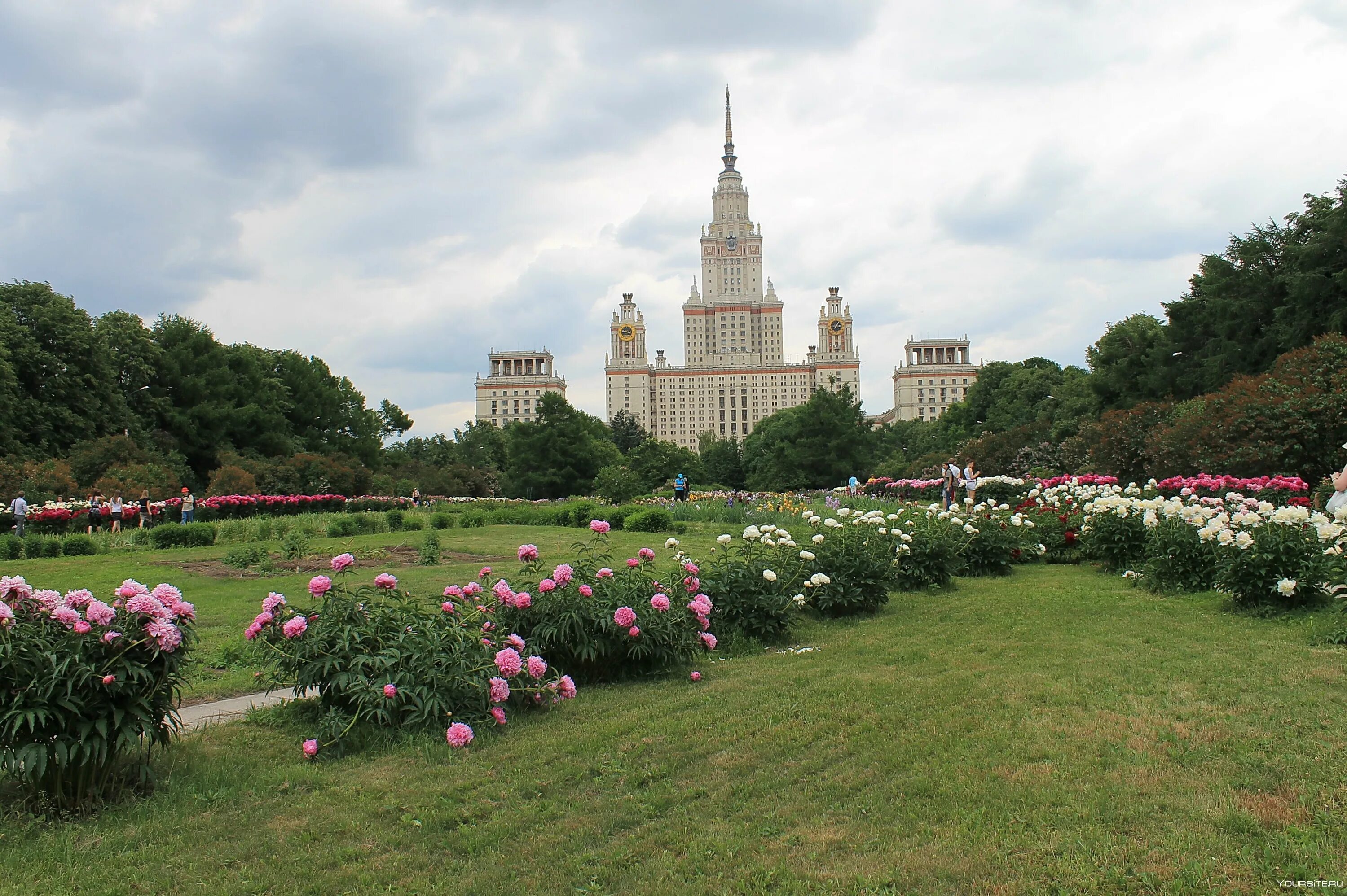 Сад биологического факультета мгу. Московский Ботанический сад МГУ. Ботанический сад МГУ Воробьевы горы. Ботанический сад МГУ Ломоносова. Ботанический сад ботанического факультета МГУ.