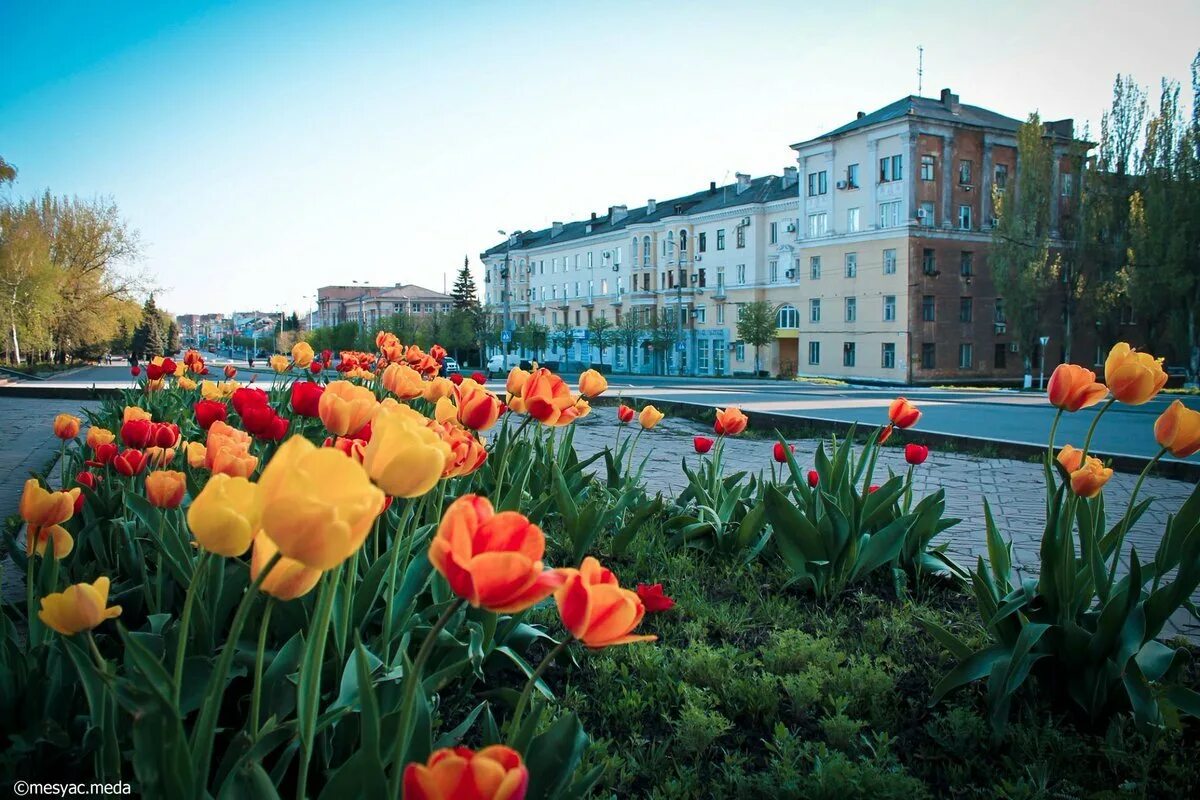 Макеевка города украины. Город макеевка донецкой области. Дк кирова макеевка. Дворец джарты макеевка. Макеевка центр.