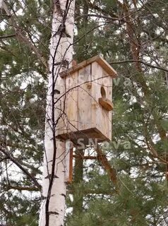 Скворечники из березы