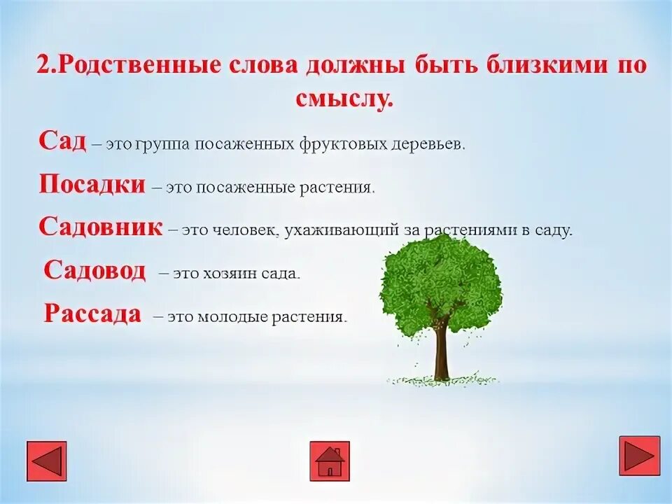 Прочитай родственные слова. Родственные слова к слову творчество. Муравей родственные слова. Урок русского языка 1 класс родственные слова. Родственные слова муравьев.