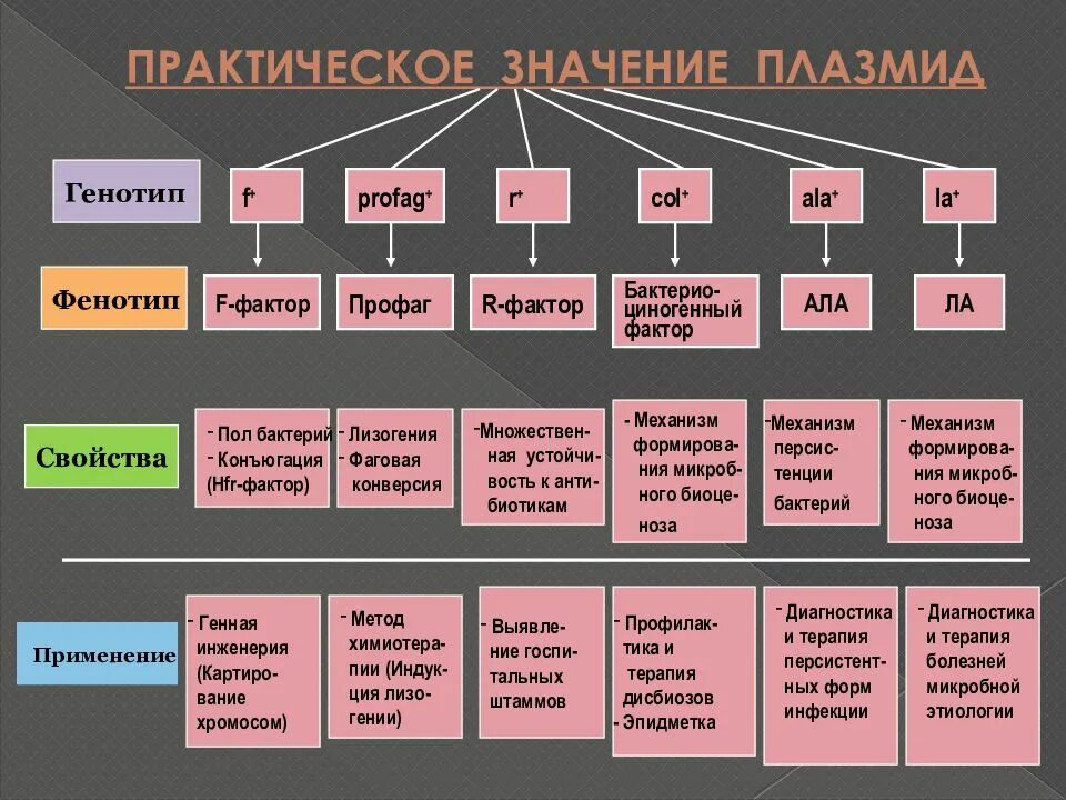 Плазмиды бактерий и их значение для практической медицины. Генетика микроорганизмов. Значение плазмид. Плазмиды бактерий и их значение.