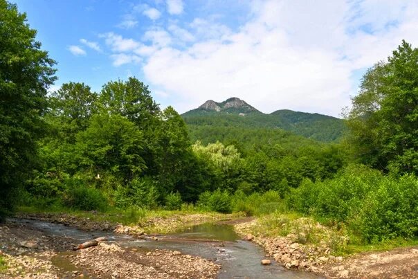 Гора 2 брата туапсе. Гора два брата туапсинский район. Гора два брата туапсинский район. Гора два брата анастасиевка. Гора 2 братьев.