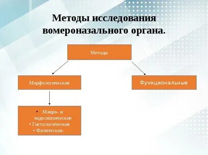 Органы по способу создания