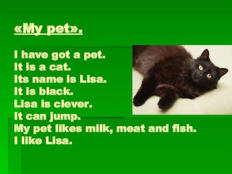 Проект my Pet. Рассказ my Pet. Проекты на тему my Pet. My Pet по английскому. 1 this is a cat