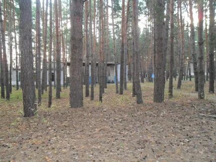 Нижегородский лагерь сокол