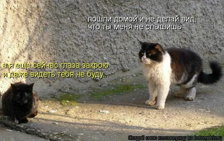 Слышно форум