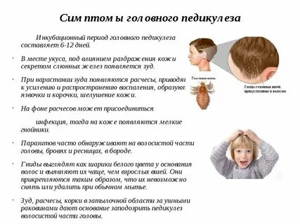 Педикулез сколько дней карантин