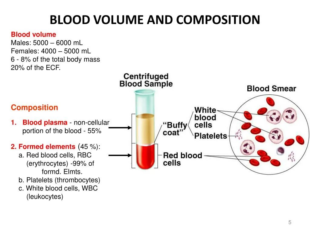 Blood Composition. Blood Composition and function. Состав крови схема. Клетки крови схема.