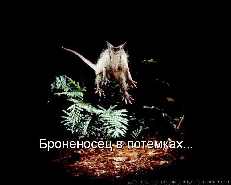 Не видно в потемках. Не видно в потемках