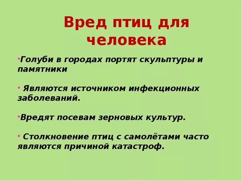 Какое значение в жизни птиц имеет. Вред птиц. какую пользу приносят птицы человеку. птицы. польза и вред птиц.. польза птиц для человека и природы.