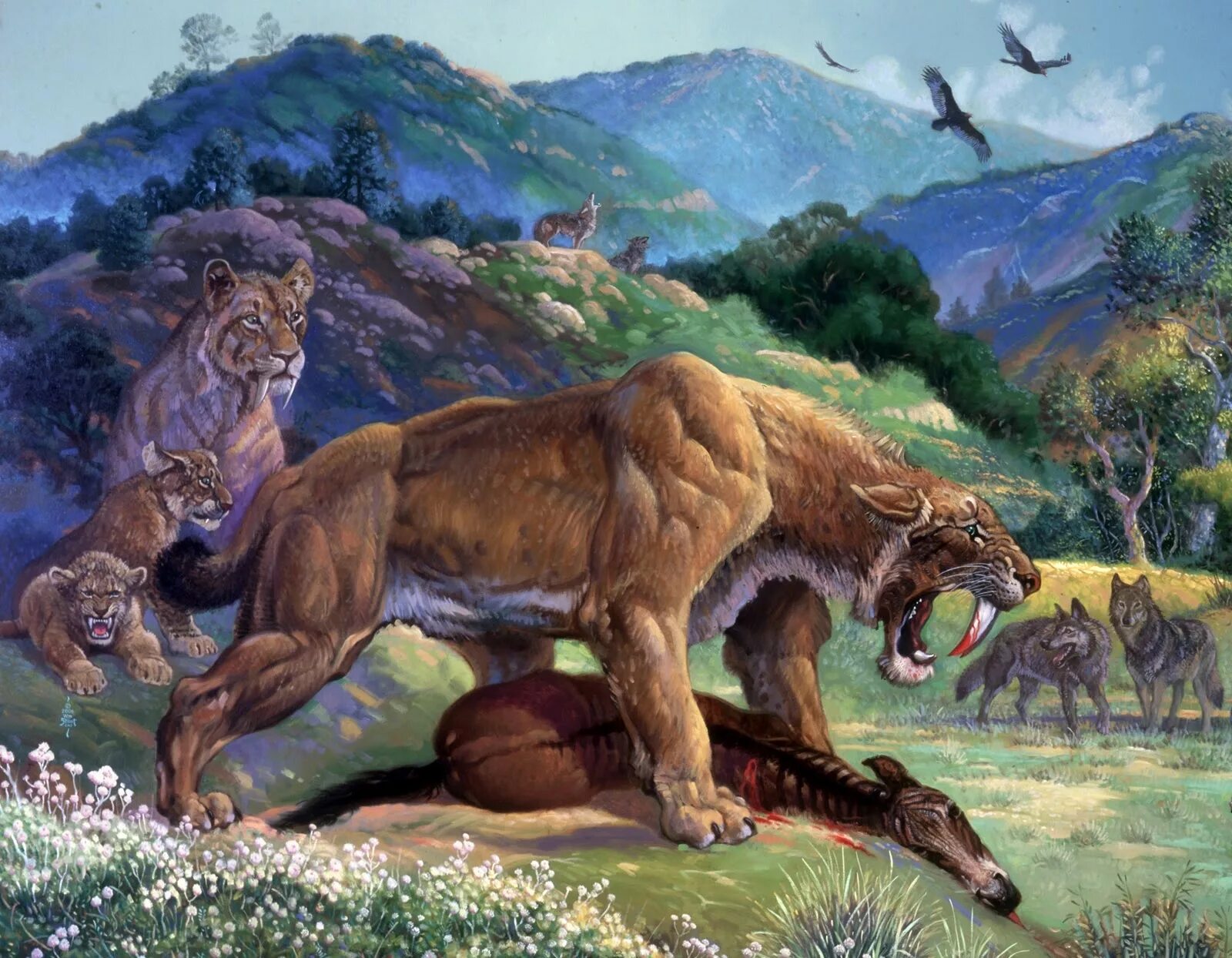 Smilodon. Саблезубый Лев Смилодон. Cмилодон (Саблезубый тигр). Кайнозой Смилодон. Махайрод Смилодон.