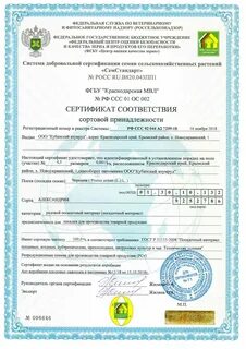 Херсонский сертификат сроки