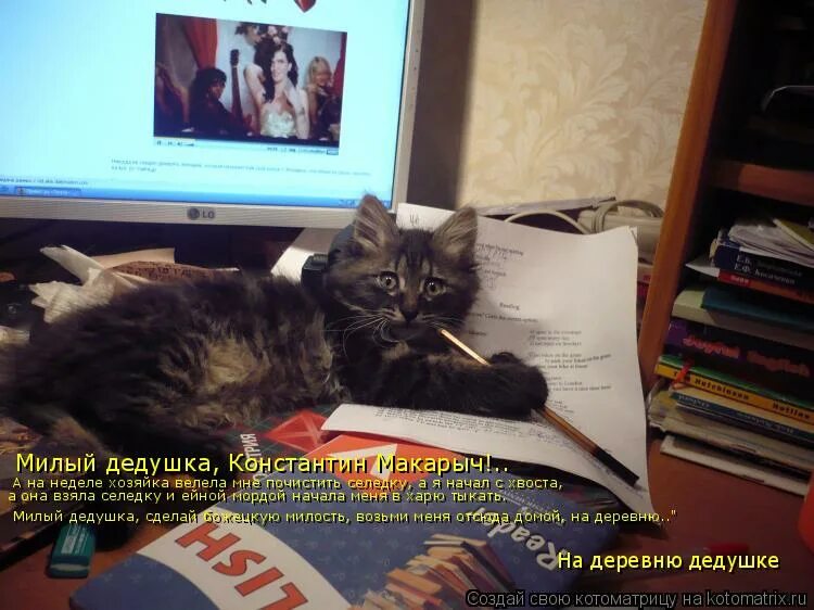 милый дедушка забери меня отсюда