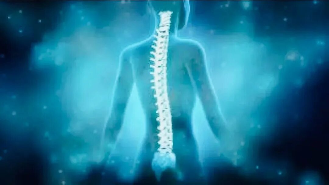 Божественное выравнивание позвоночника. Божественное выравнивание. Энергия божественного выравнивания тела. Терапия божественного выравнивания позвоночника. Божественное выравнивание тела.