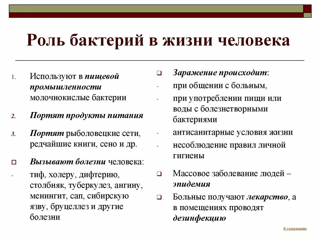 Каково значение бактерий в жизни человека впр