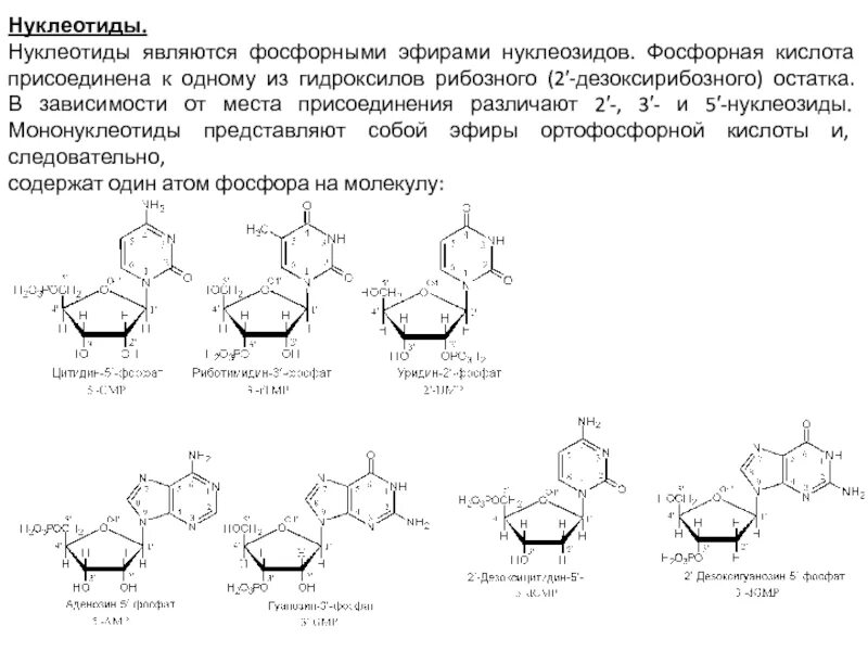 Формулы нуклеотидов. Строение мононуклеотидов. 16 Нуклеотидов. Формулы нуклеотидов биохимия. Нуклеотиды это фосфорные эфиры нуклеозидов.