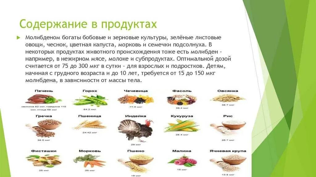 Продукты с фтором. Молибден содержание в организме. Молибден содержится в продуктах. Источники молибдена в продуктах питания. Содержание молибдена в продуктах питания таблица.