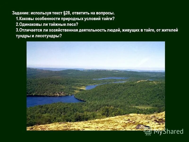 Природные условия тайги 5 класс. Деятельность человека в тайге. Хозяйственная деятельность тайги. Природные условия тайги. Хозяйственная деятельность человека в тайге.