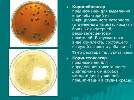 Капельные возбудители