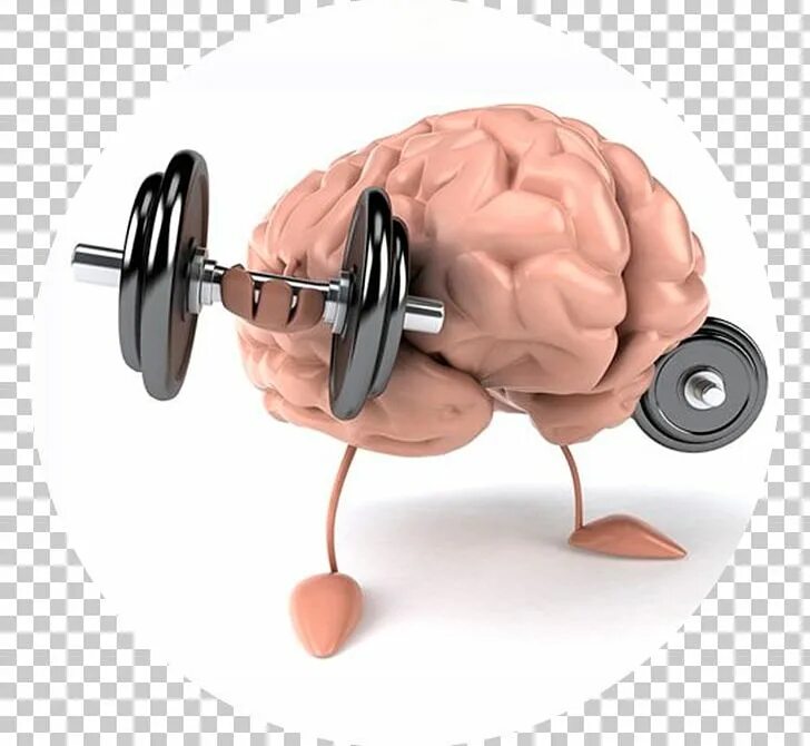 Тренировка памяти. Тренировка мозга. Мозг это мышца. Тренируем память. И т д улучшить и