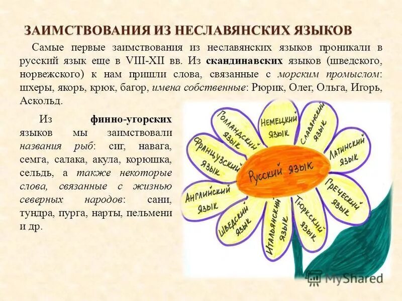 Название заимствованных слов. Заимствованные слова. Заимствованные слова в русском языке. Заимствованных слов в русском языке. Иноязычные заимствованные слова.