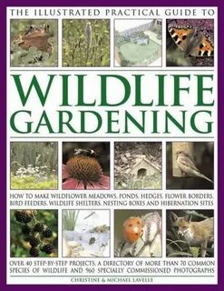 Wildlife garden