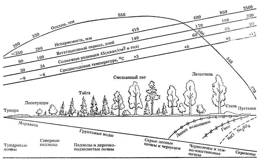 Зональные типы почв россии с севера на юг. Взаимосвязь типов почв с климатом. Закономерности распространения почв россии 8 класс. Взаимо связь почв с климатом и растительностью. Распределите почвы с севера на юг.