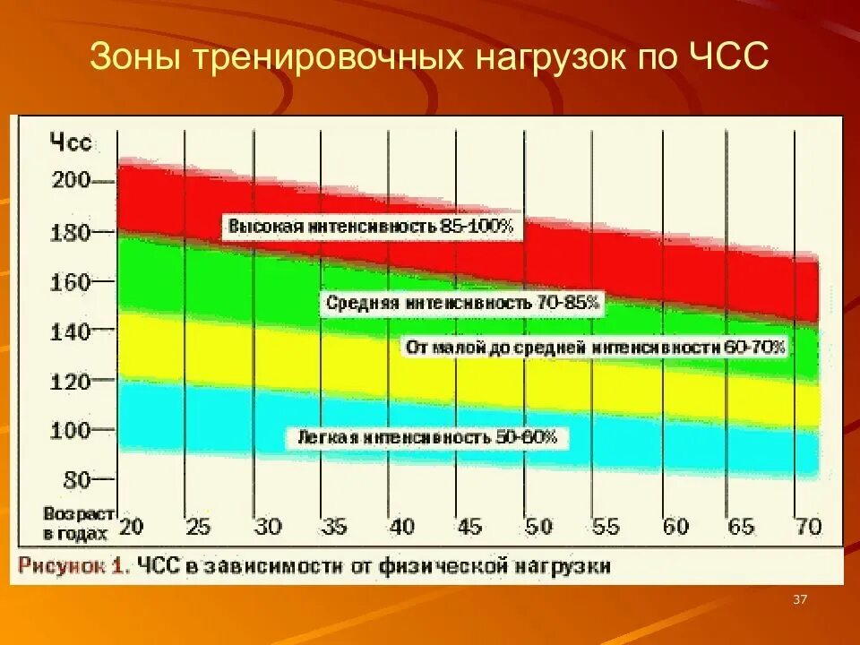 Какая температура после физической нагрузки. Максимальный пульс. ЧСС после физической нагрузки. Зоны интенсивности нагрузок по ЧСС. ЧСС И нагрузка физическая нагрузка.