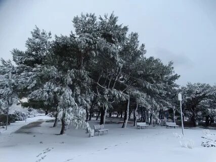Снег в анапе